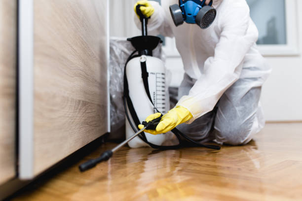 Best Flea Control Services  in Ruthers, CA