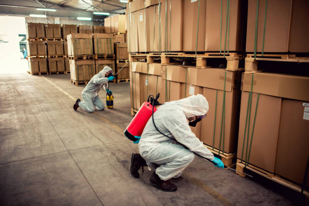 Best Affordable Pest Control Services  in Ruthers, CA