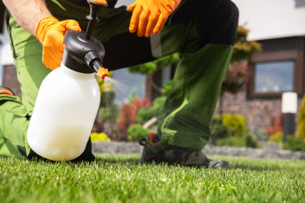 Trusted Caruthers, CA Pest Control Experts
