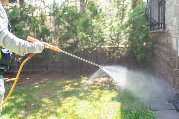 Best Wildlife Control Services  in Ruthers, CA