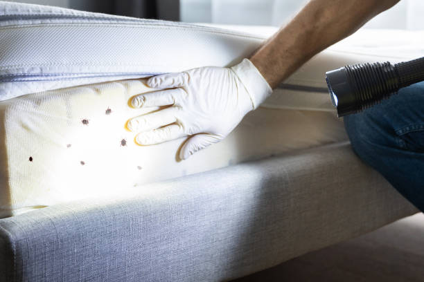 Best Commercial Pest Control Services  in Ruthers, CA