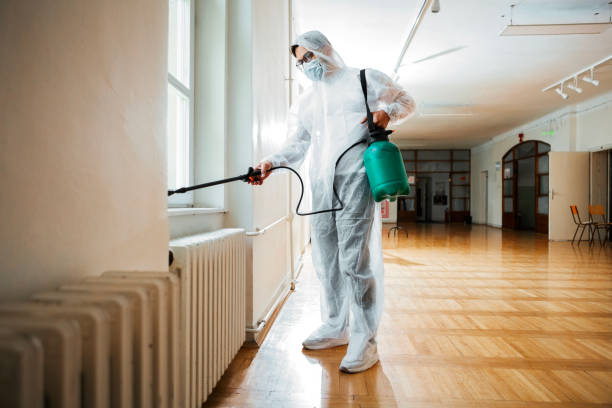 Best Best Pest Control Companies  in Ruthers, CA