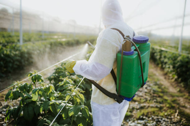 Best Spider Control Near Me  in Ruthers, CA